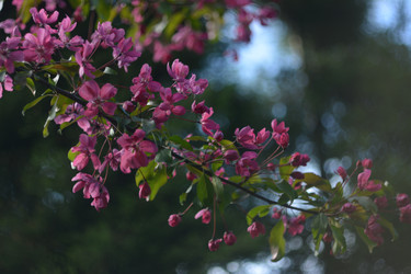 Similar image 21649329