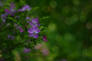 Similar image 21649338