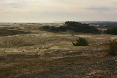 Similar image 21649436