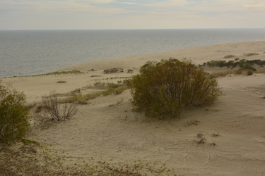 Similar image 21649437