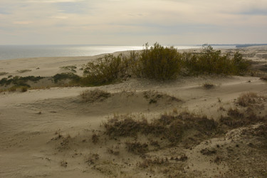 Similar image 21649339