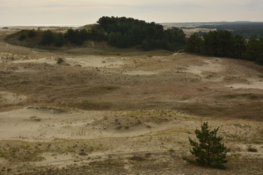 Similar image 21649438