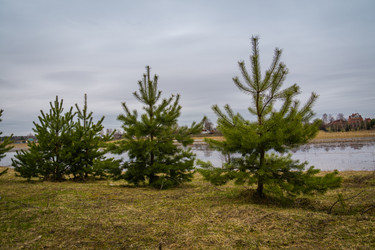 Similar image 21649348