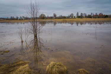 Similar image 21649351