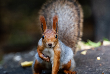 Similar image 21649355