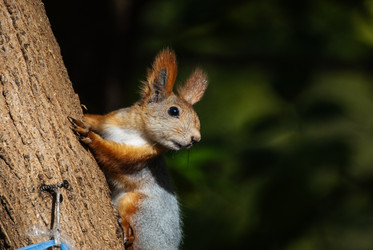 Similar image 21649358