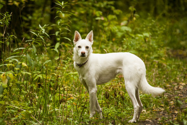 Similar image 21649359