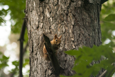 Similar image 21649362