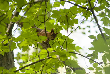 Similar image 21649363