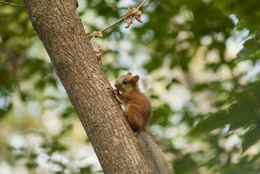 Similar image 21649364