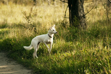 Similar image 21649365