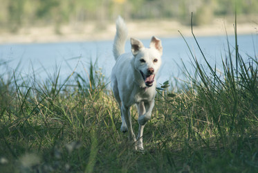 Similar image 21649367