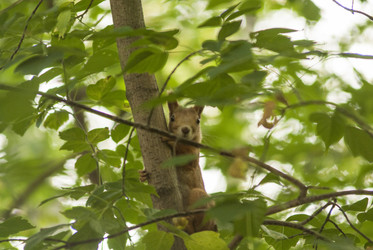 Similar image 21649368