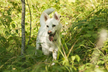 Similar image 21649370