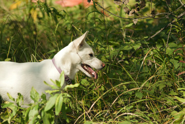 Similar image 21649371