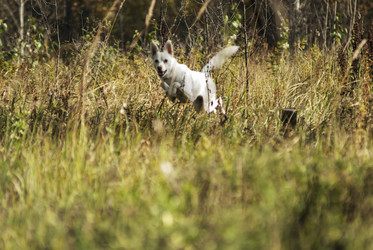 Similar image 21649372