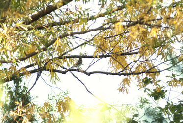 Similar image 21649373