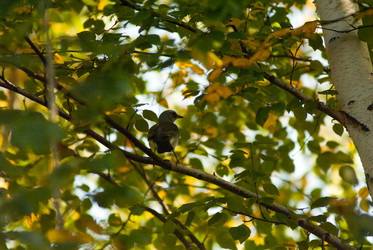 Similar image 21649374