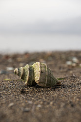 Similar image 21650112