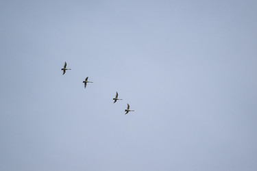 Similar image 21650115