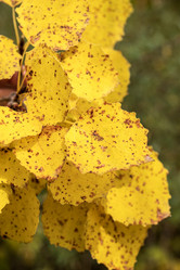 Similar image 21650120