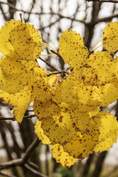 Similar image 21650121