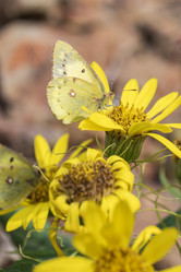 Similar image 21650124