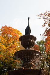 Similar image 21650130