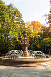 Similar image 21650135