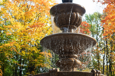 Similar image 21650137