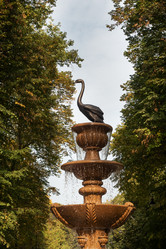 Similar image 21650139