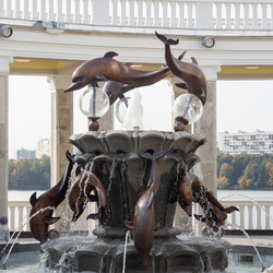 Similar image 21650146