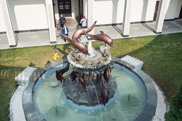 Similar image 21650154