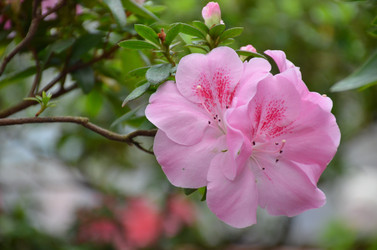 Similar image 21653523