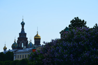 Similar image 21652535