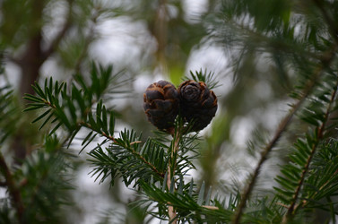 Similar image 21653524