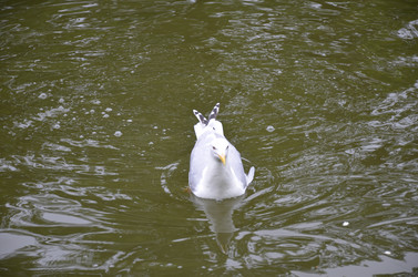 Similar image 21653526