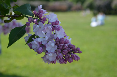 Similar image 21658772