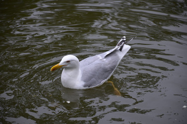 Similar image 21653529