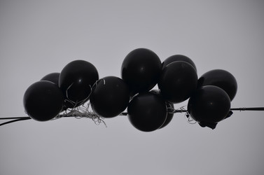 Similar image 21653533