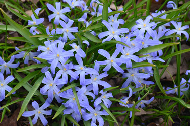 Similar image 21653534