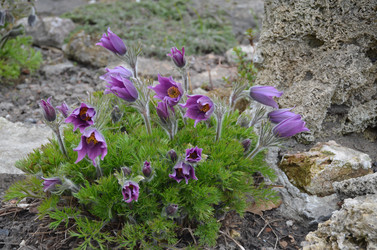 Similar image 21654280