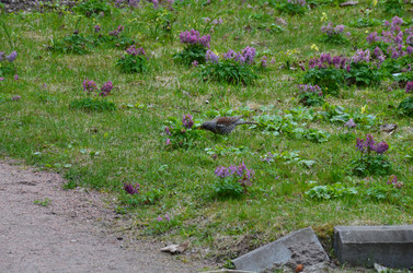 Similar image 21653537