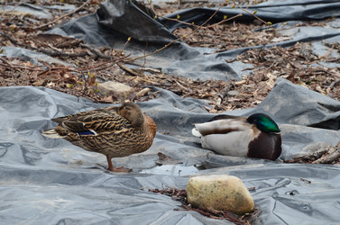 Similar image 21658773