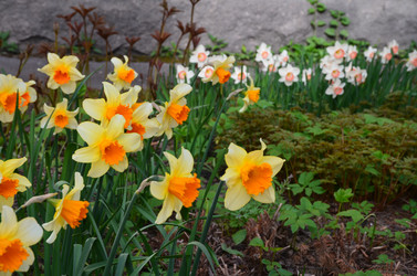 Similar image 21653538