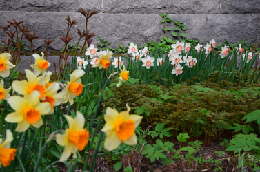 Similar image 21653539