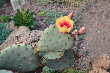 Similar image 21658774