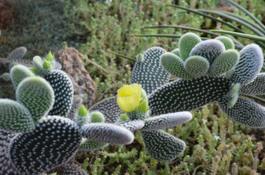 Similar image 21658775