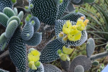 Similar image 21658776