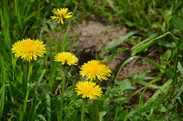 Similar image 21658777